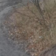 , 36 , 
