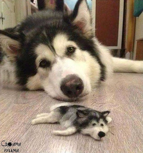 � ������ ������ ��� ������ ��� ����� �� ��������� �� ���� ������.