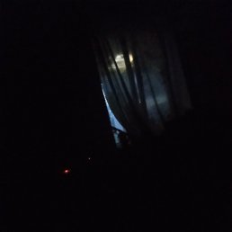 ���� ��������, ���������, 51 ��� - ��������� 14 ���� 2026