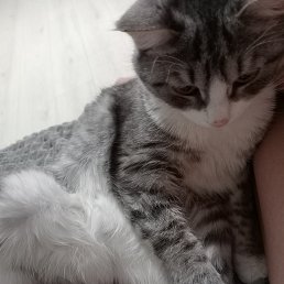 ���� ����, ��������, 60 ��� - ��������� 22 ������� 2026