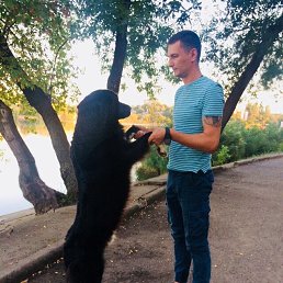 ���� �������, �����-���������, 37 ��� - ��������� 14 ������ 2026