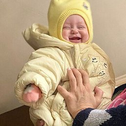 �����, ������, 44 ����