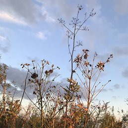 ����, �����, 57 ���