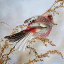 ���� �������, ���, 76 ��� - ��������� 29 ������ 2025 � ������ ���� ����������