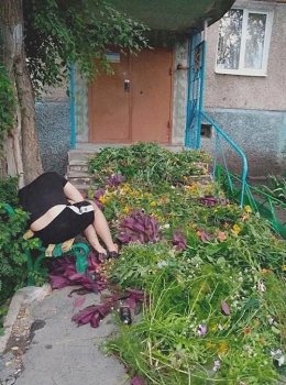 �����������