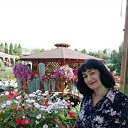 ���� �����, �������, 66 ��� - ��������� 7 ������� 2023