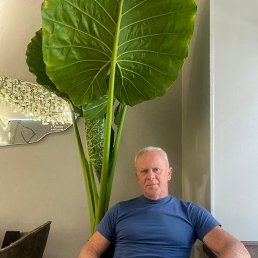 , 57, 