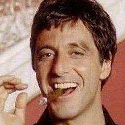 �������, ����� ���, 44 ����