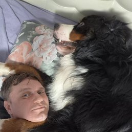 �����, �����-���������, 45 ���