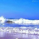 ���� �������, ���������, 49 ��� - ��������� 10 ������ 2025 � ������ ���� ����������