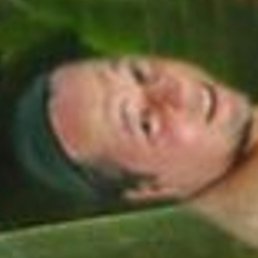 �����, ������