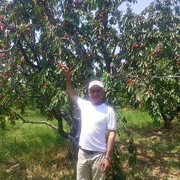 ������, ������, 35 ���