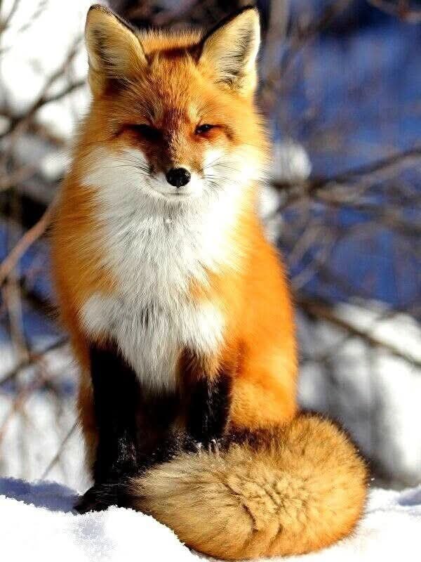 :)     16-   ,    ...