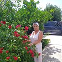 ���� ������, �����, 64 ���� - ��������� 17 ���� 2025 � ������ ���� ����������