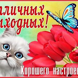 ���� ������, ������, 51 ��� - ��������� 25 ������� 2024
