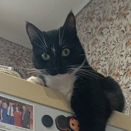 ������, ������, 49 ���