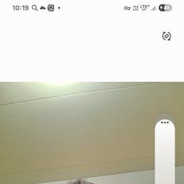 ��������, 58 ���, ������