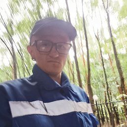 , , 31 