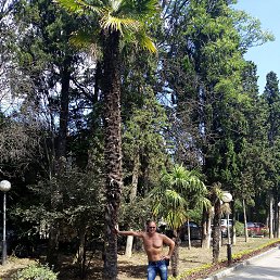 ���� �, �����, 56 ��� - ��������� 2 ������� 2025