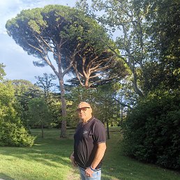 ������, 64 ����, �����������