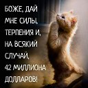 ���� ������, �������� - ��������� 12 �������� 2026 � ������ ������ ��������
