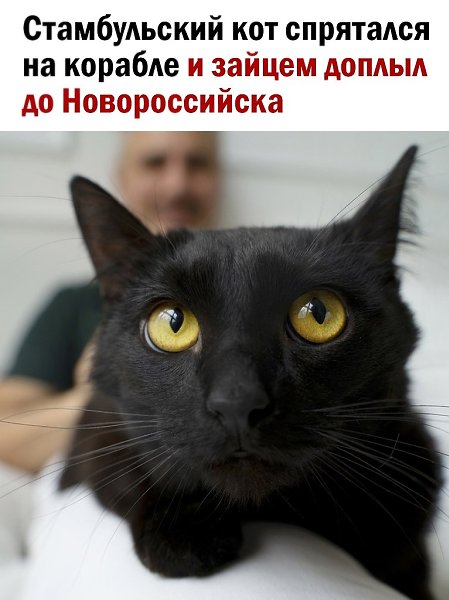  - 17  2025  20:51