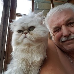 Vladimir, ���������, 62 ����