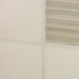 ���, ���������, 56 ���