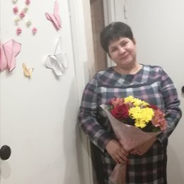 ���� ��������, ����������, 48 ��� - ��������� 24 ����� 2026