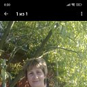 ���� ������, ���������� ����� - ��������� 15 ������� 2026 � ������ ���� ����������