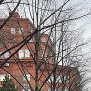 ����, 43 ����, ���������