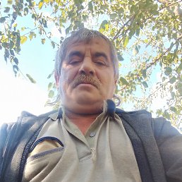 , 54, 