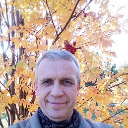 �������, 58 ���, ����