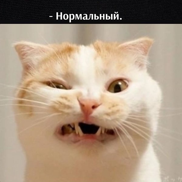 ��� ���� � ����� �� �� - 6 �������� 2026 � 16:04 - 2