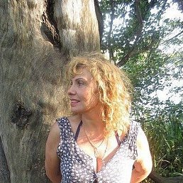 �������, ������, 56 ���