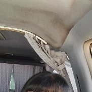 ������, 44 ����, ���������