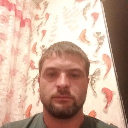 , 33, 