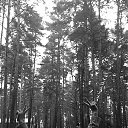 ���� ����, ������������, 22 ���� - ��������� 10 ������� 2024