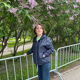 , 43 , -