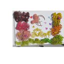 ���� Svetlozar, �����, 45 ��� - ��������� 1 ������� 2025 � ������ ����� �� ����