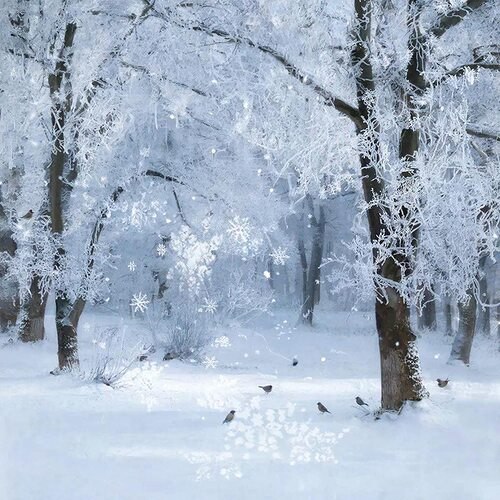 ���� ��������� ��� ����������� ��������� ��� �����, ������� ����� ������ �������� ������. ������� ...