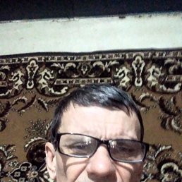 ���������, 40 ���, ���������