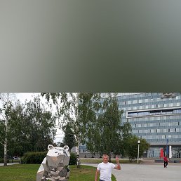 ���� ��������� ��������, ������, 38 ��� - ��������� 9 ������� 2025