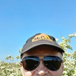 , 65, 