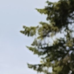 ������, �������, 45 ���