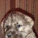 ���� ����, �������� - ��������� 3 ������ 2024 � ������ ������ ��������