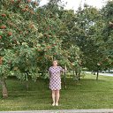 ���� ����, ���������, 55 ��� - ��������� 18 ������� 2026 � ������ ���� ����������