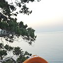 ���� �����, ������������, 41 ��� - ��������� 2 ������ 2026 � ������ ���� ����������