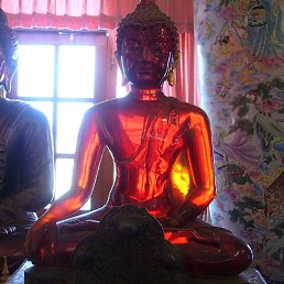 ����, �������, 46 ���