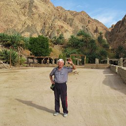 ����, ������, 79 ���